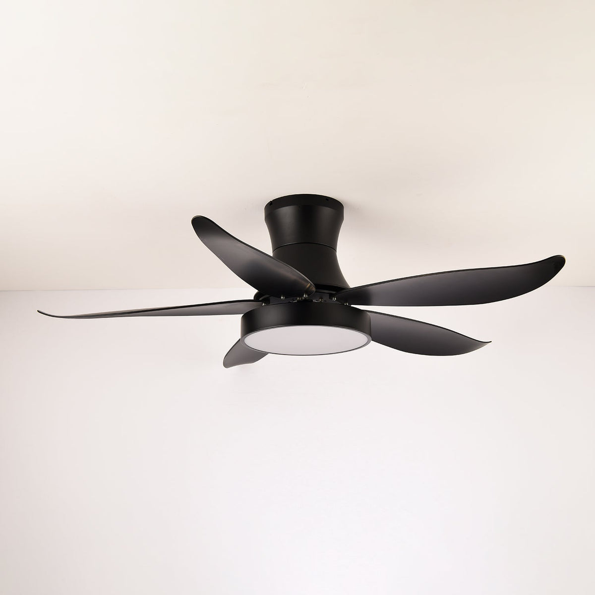 Jada Modern Black Ceiling Fan Light