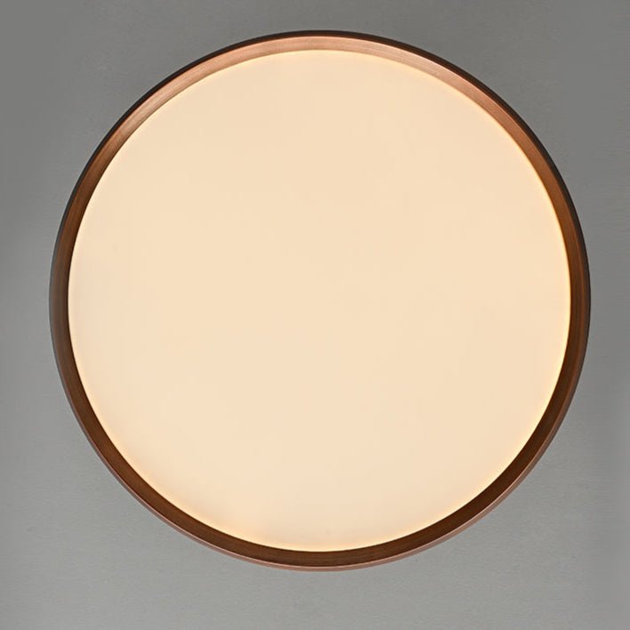 Lucaian Modern Acrylic Ceiling Lamp