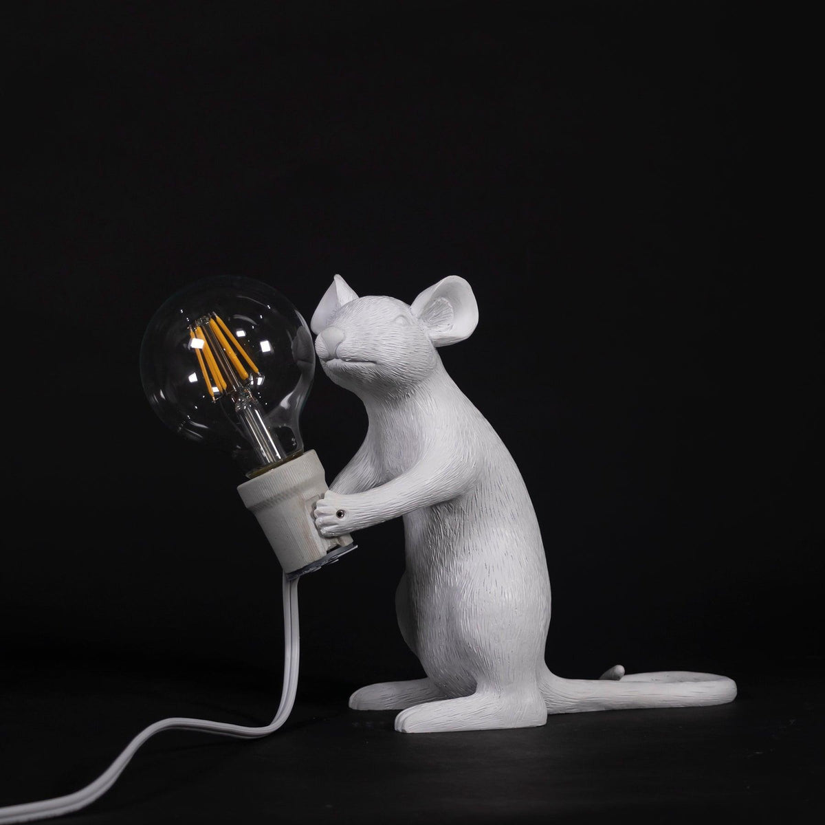 Kalinix Resin Whimsical Table Light