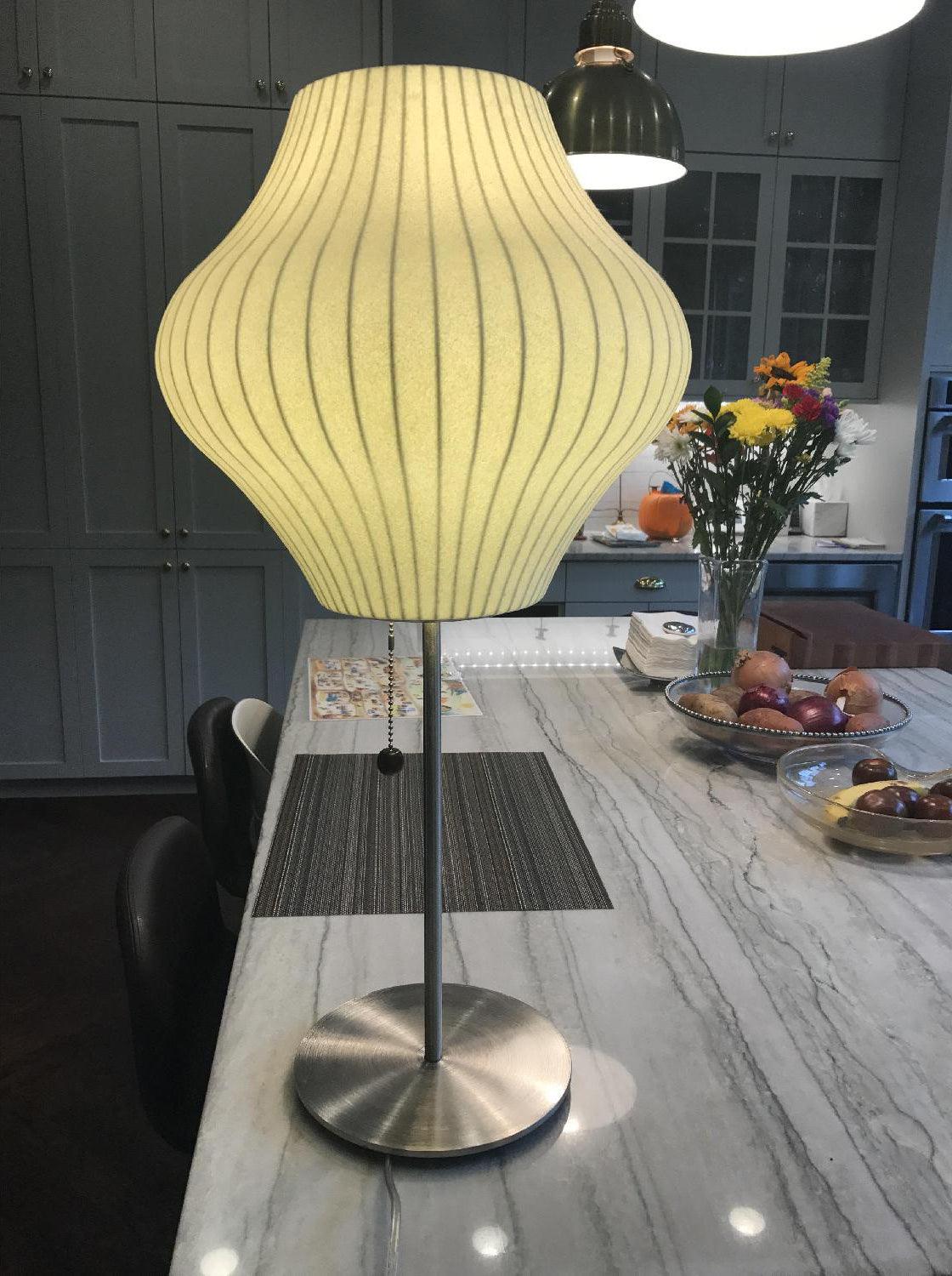 Solisive Steel Artistic Table Lamp