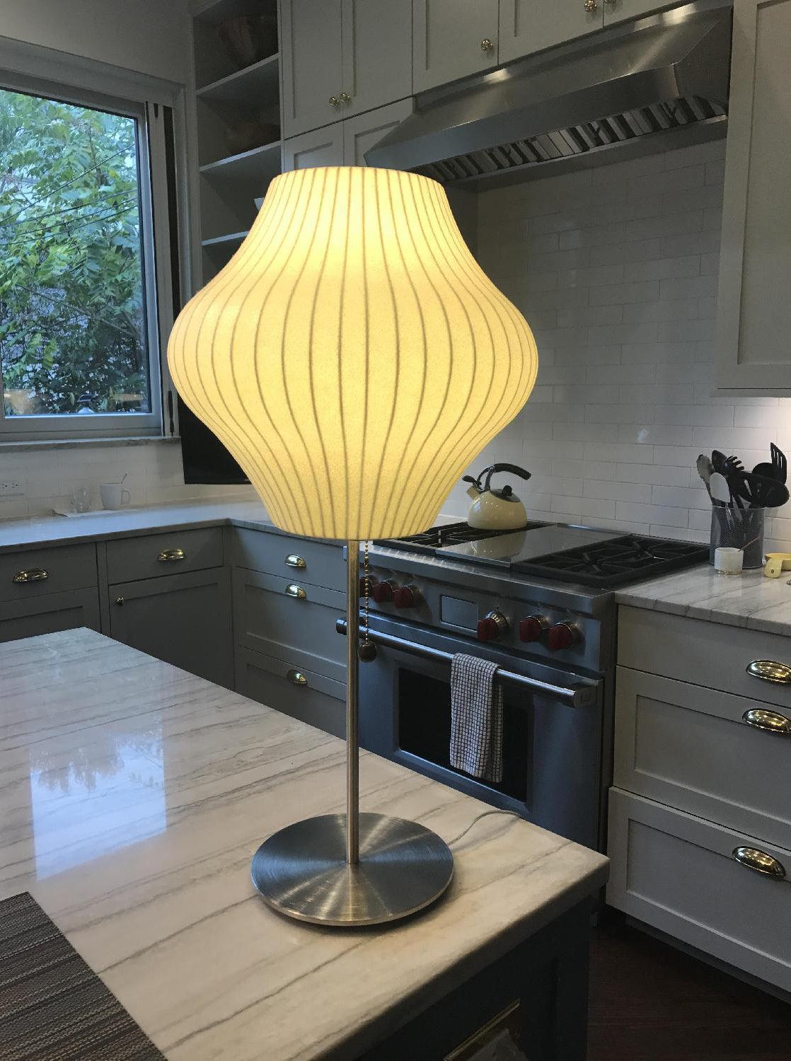 Solisive Steel Artistic Table Lamp