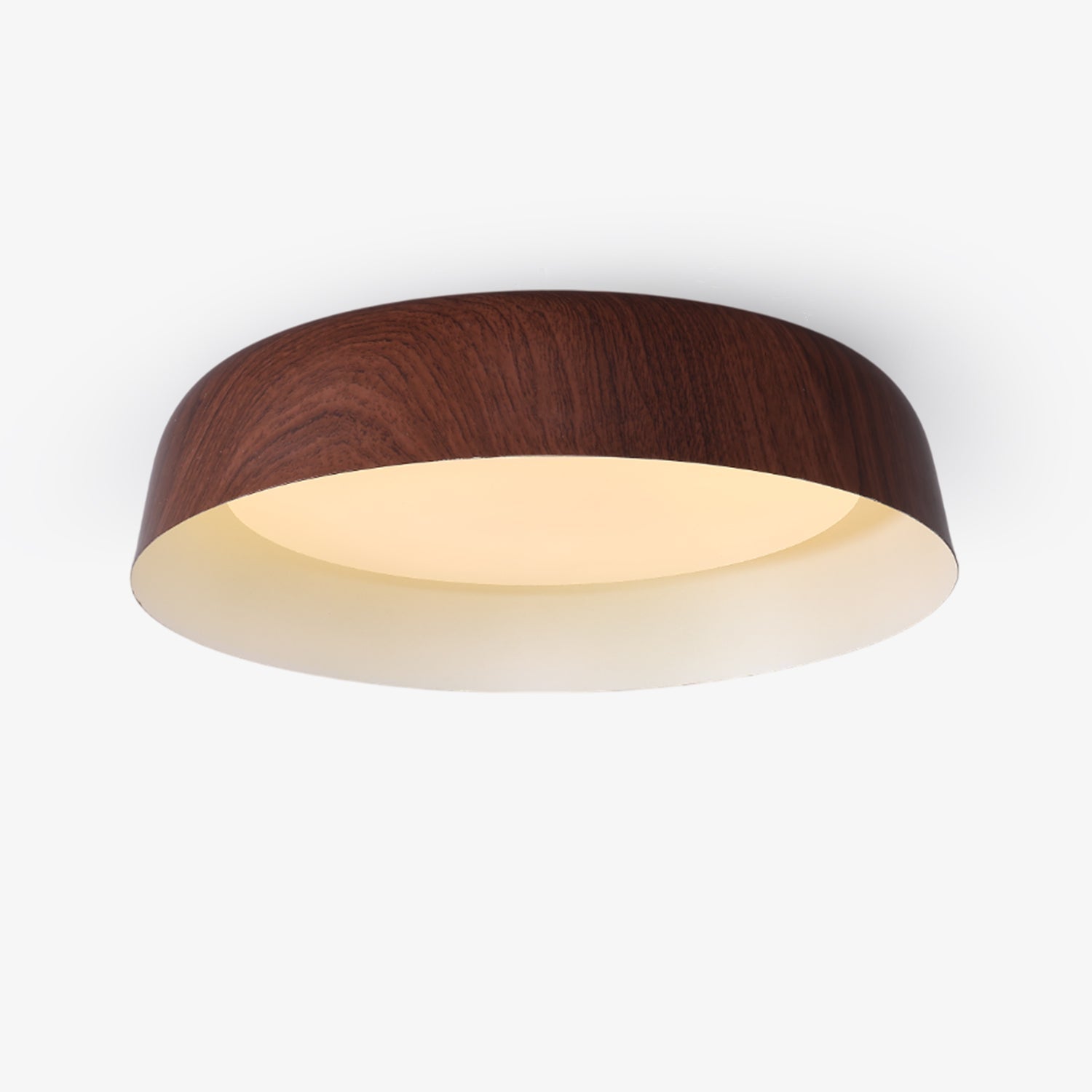 Viraenena Modern Minimalist Ceiling Light