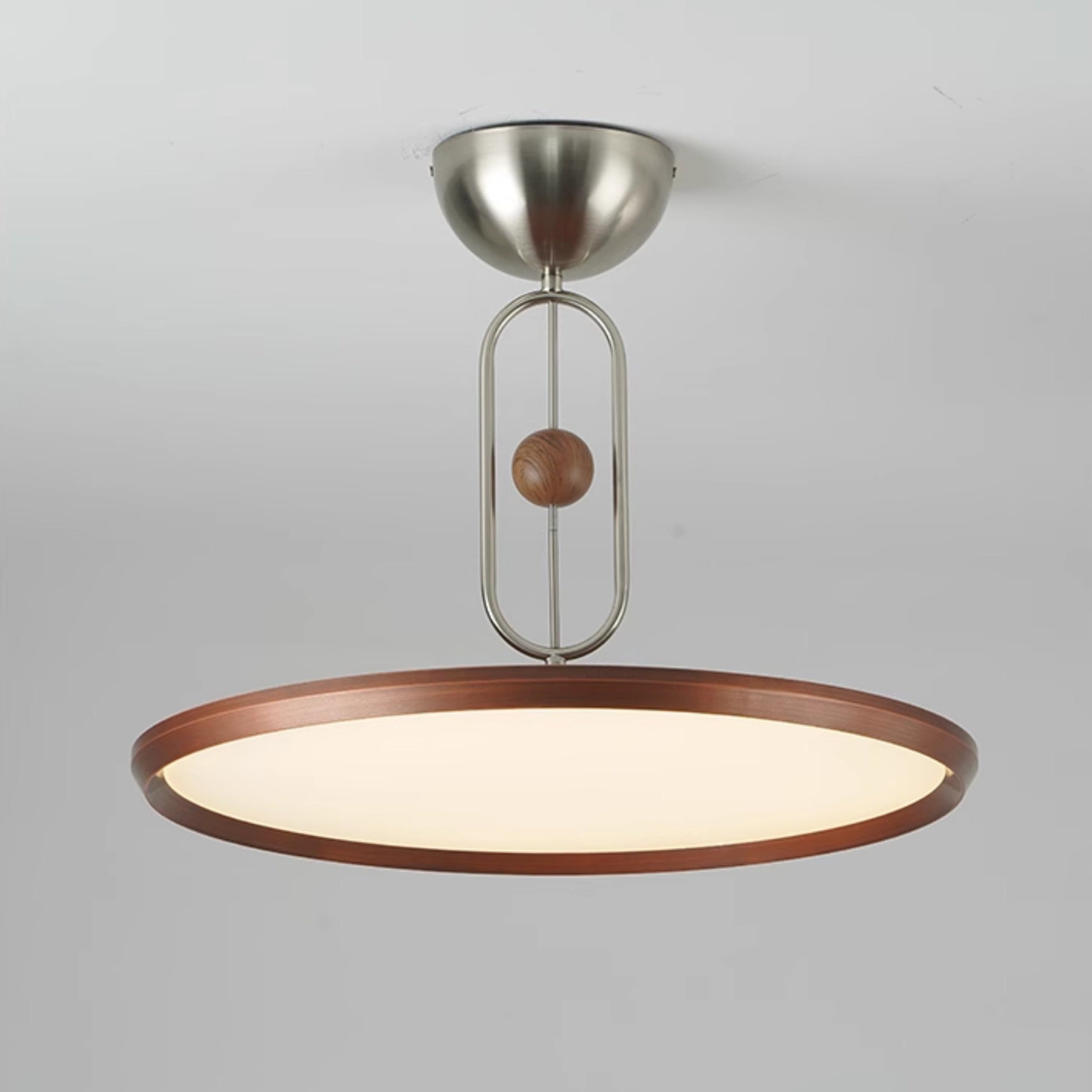 Lucaian Modern Acrylic Ceiling Lamp