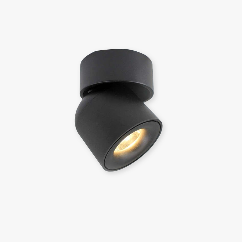 Arisha Modern LED Ceiling Light Spotlight Bedroom - Neutral Decor