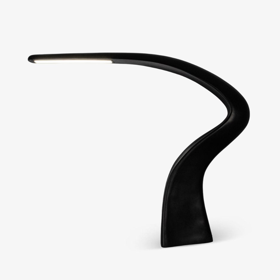 Fluten Black Modern Floor Lamp