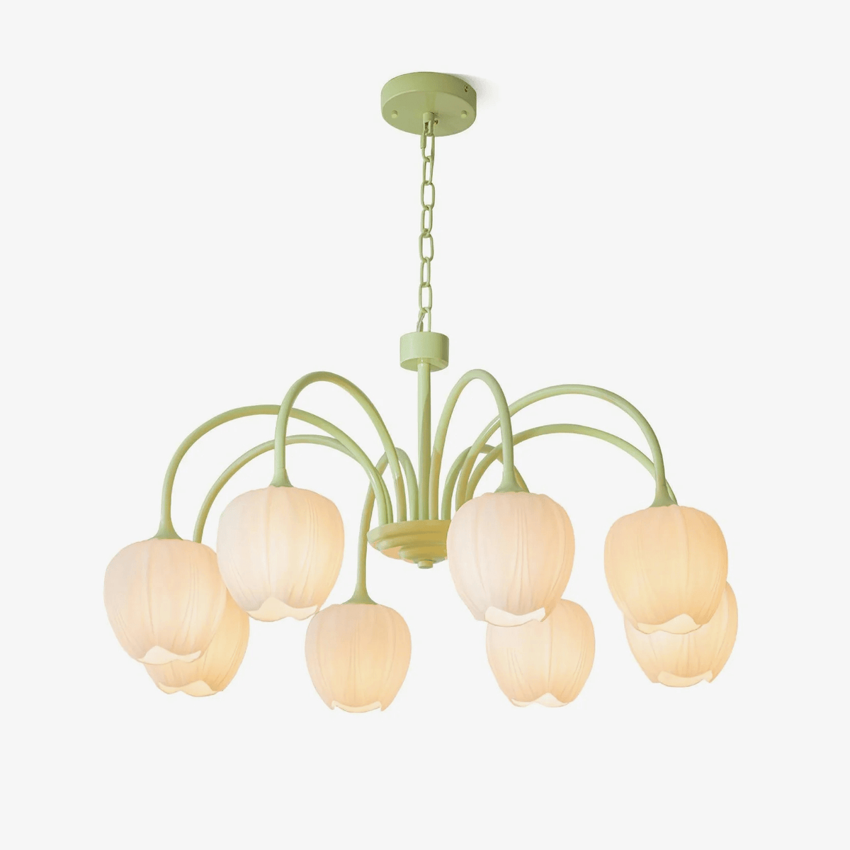 Fairmere Tulip Matcha Chandelier