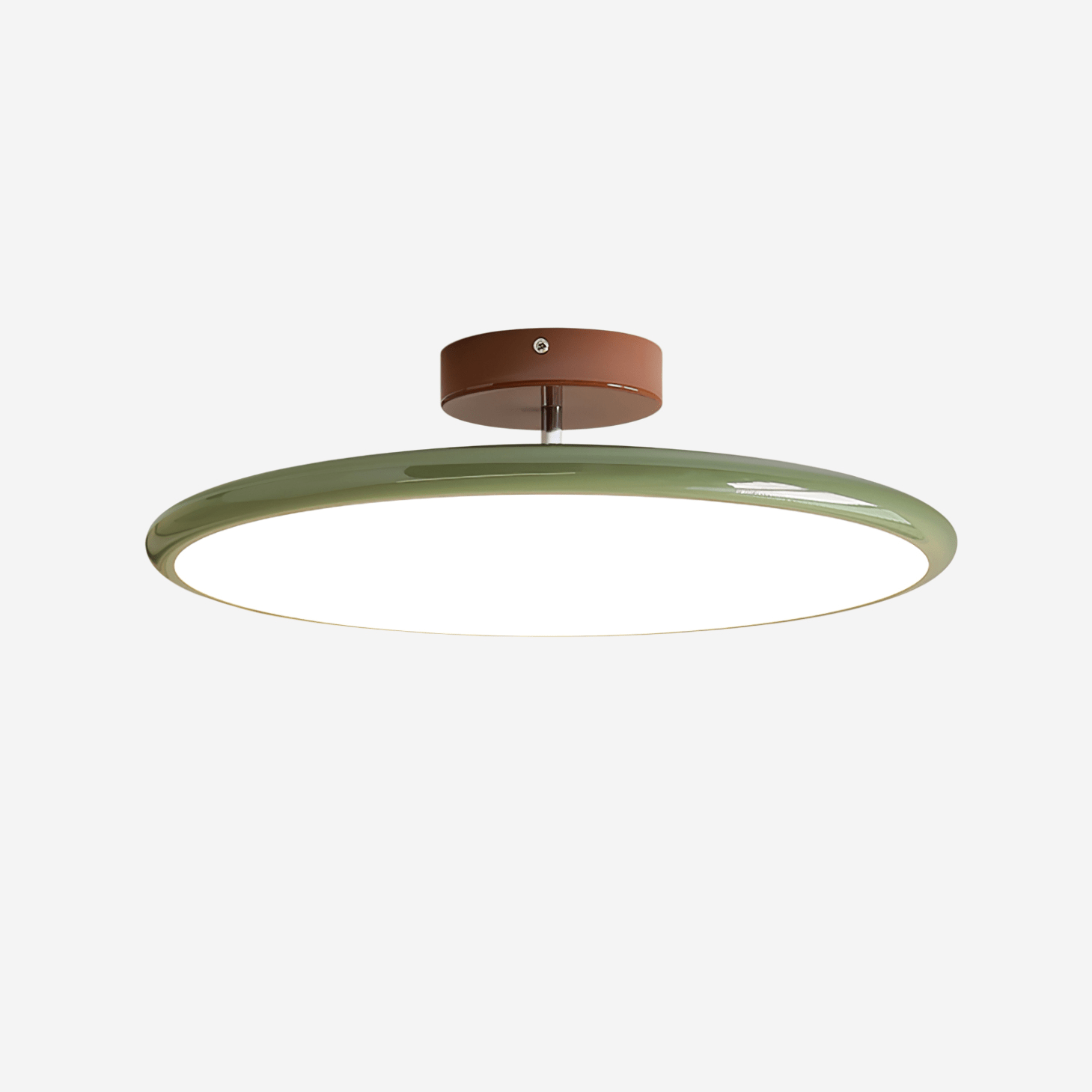 Elmsfield Adjustable Flush Mount Ceiling Light
