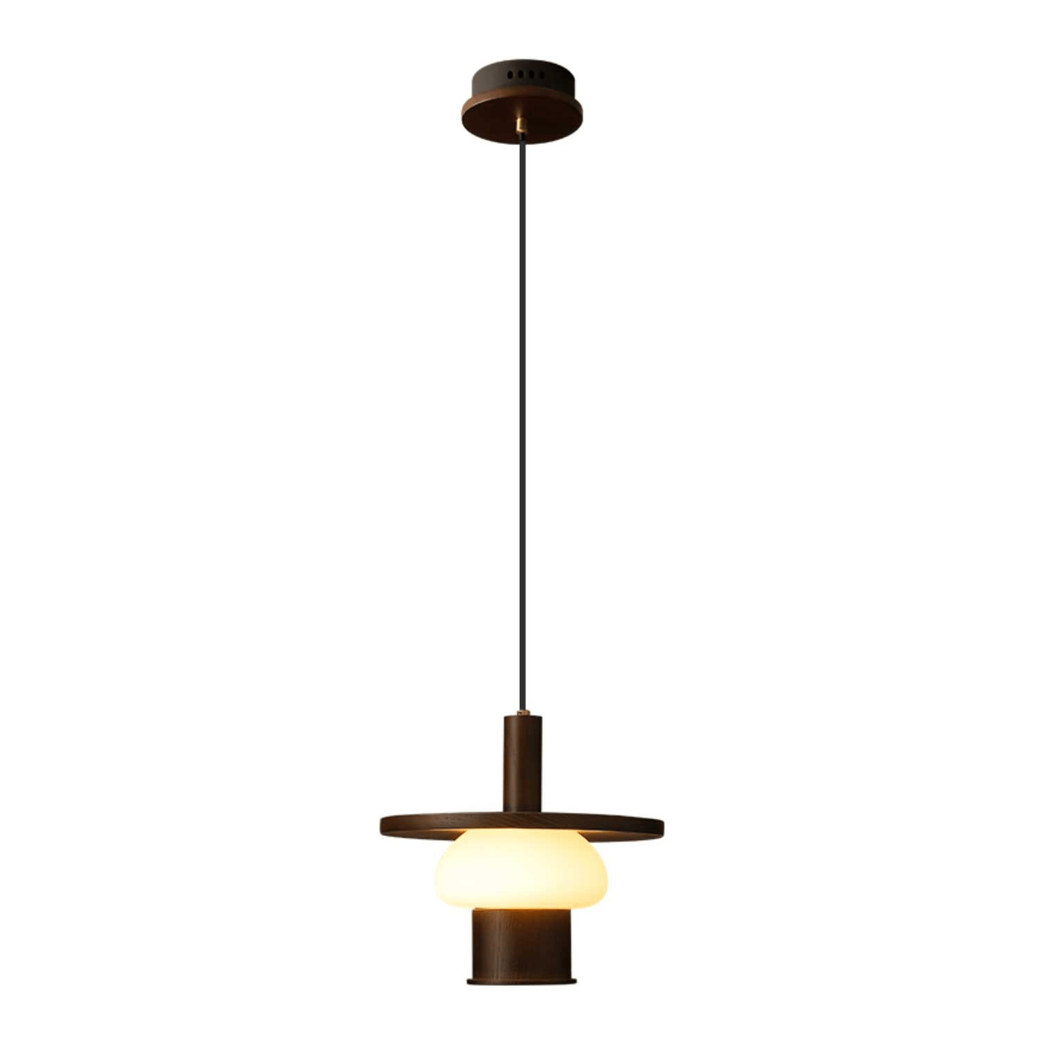 Zephaan Traditional Art Classic Glass Wood Pendant Light