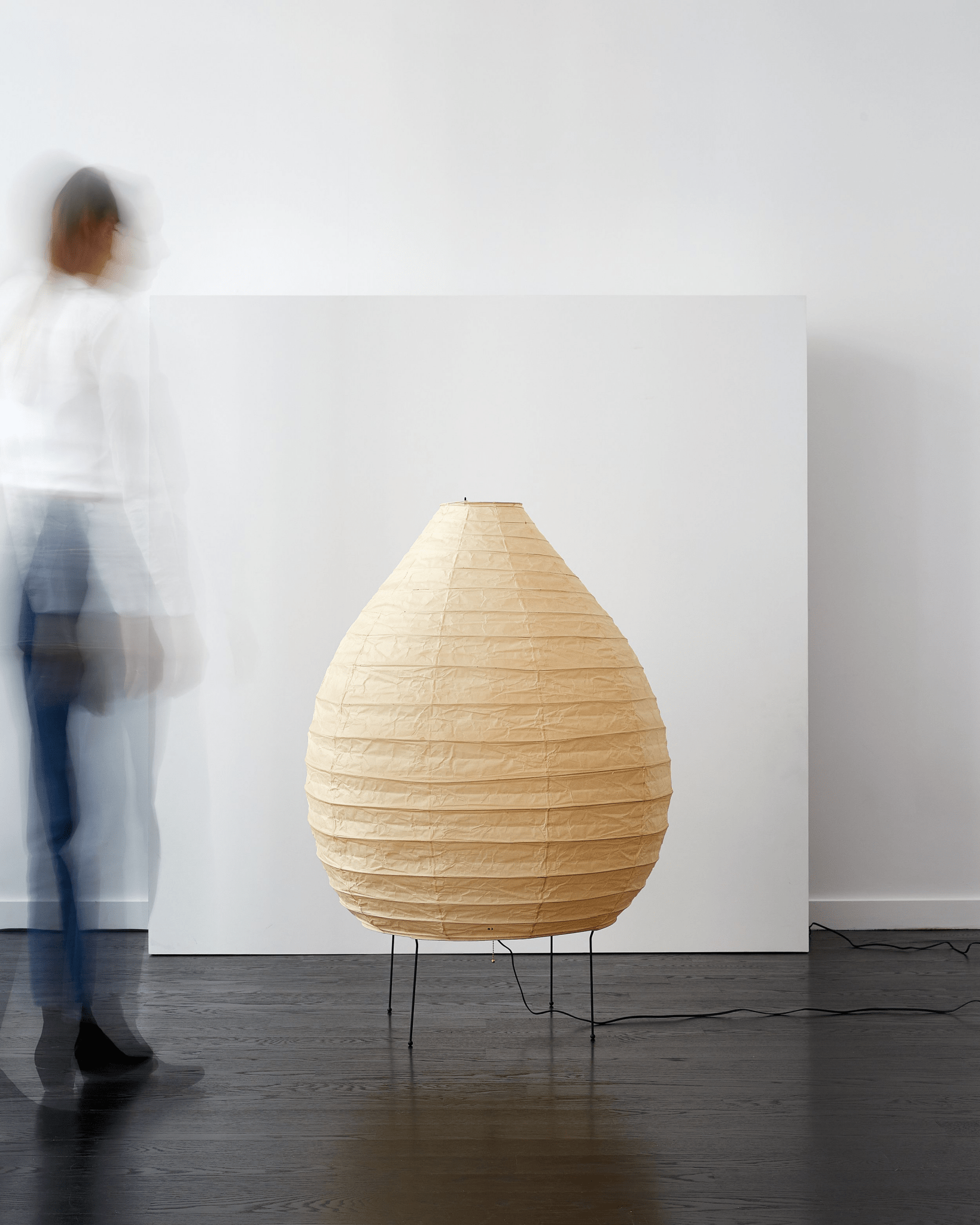 Viraiviella Modern Floor Lamp