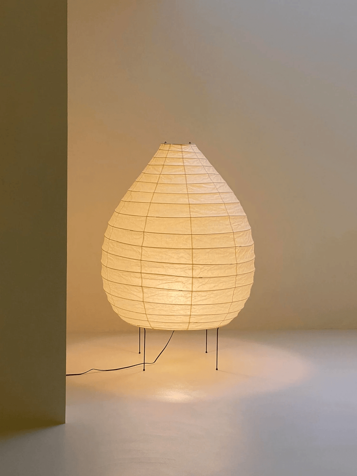 Viraiviella Modern Floor Lamp