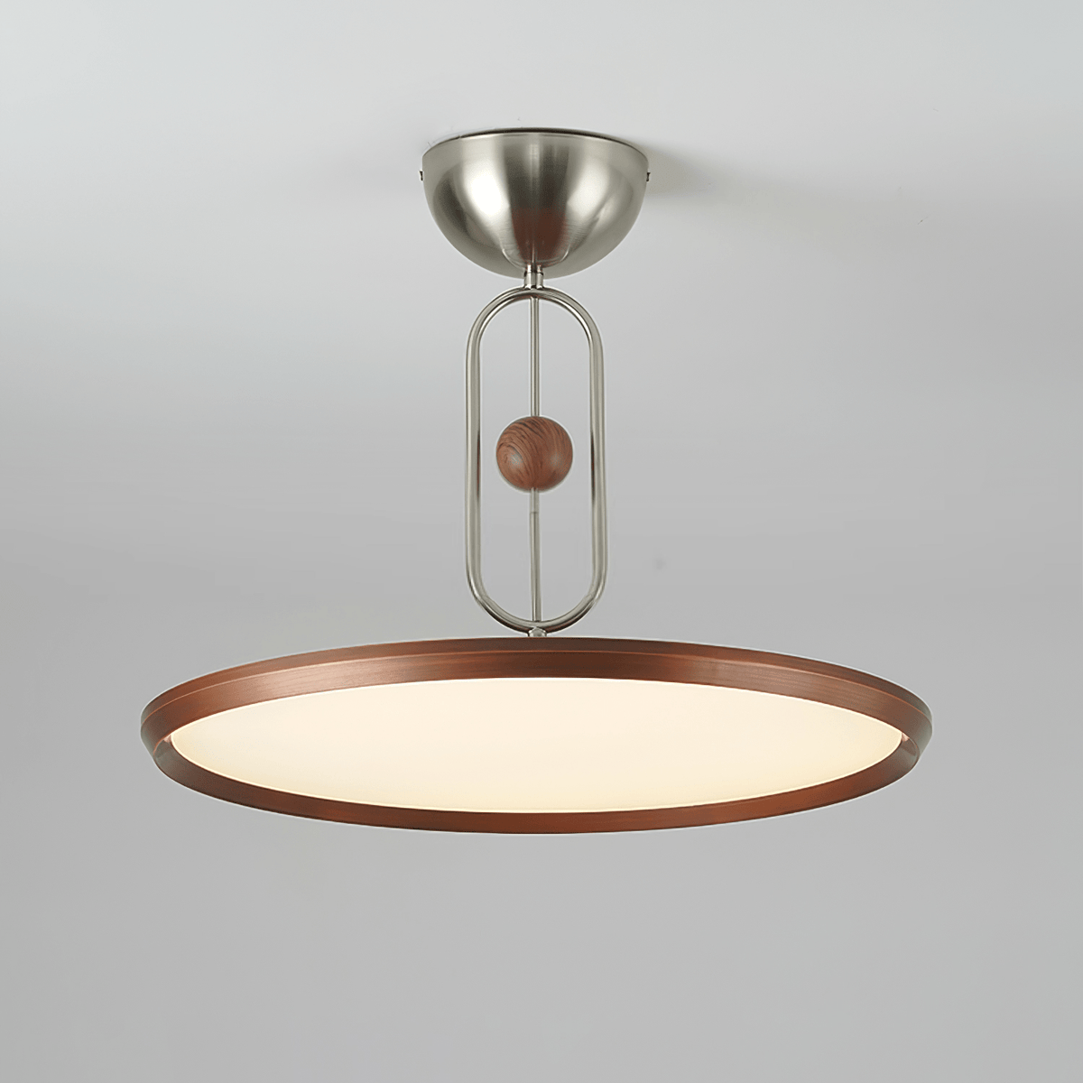 Lucaian Modern Acrylic Ceiling Lamp