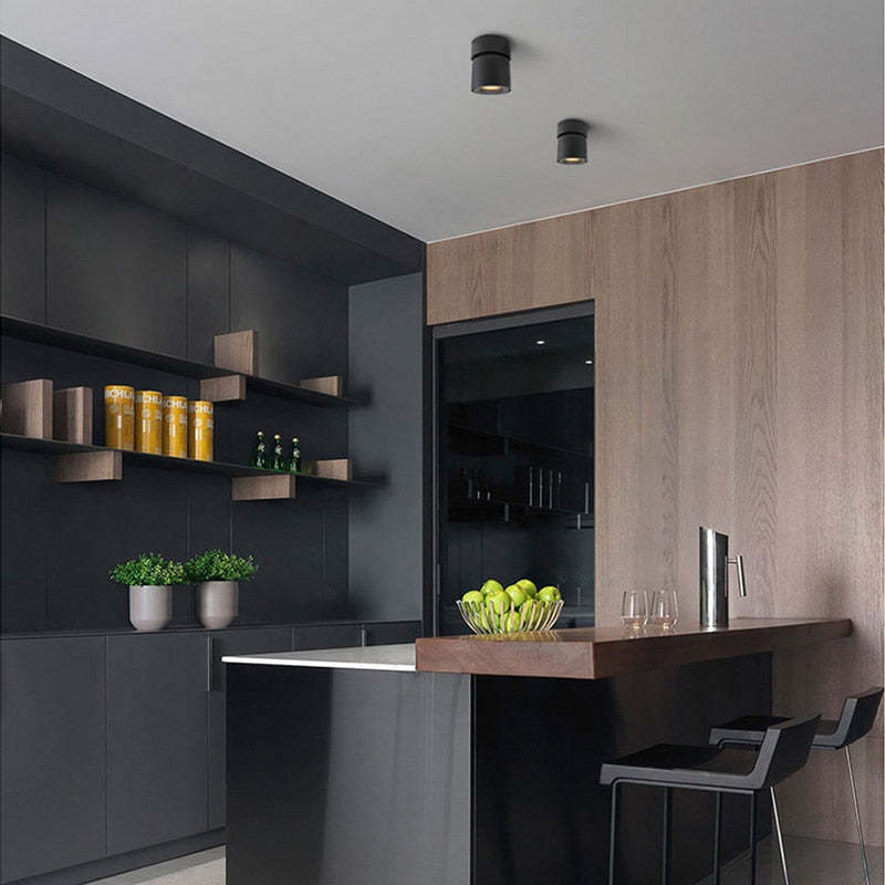 Arisha Modern LED Ceiling Light Spotlight Bedroom - Neutral Decor