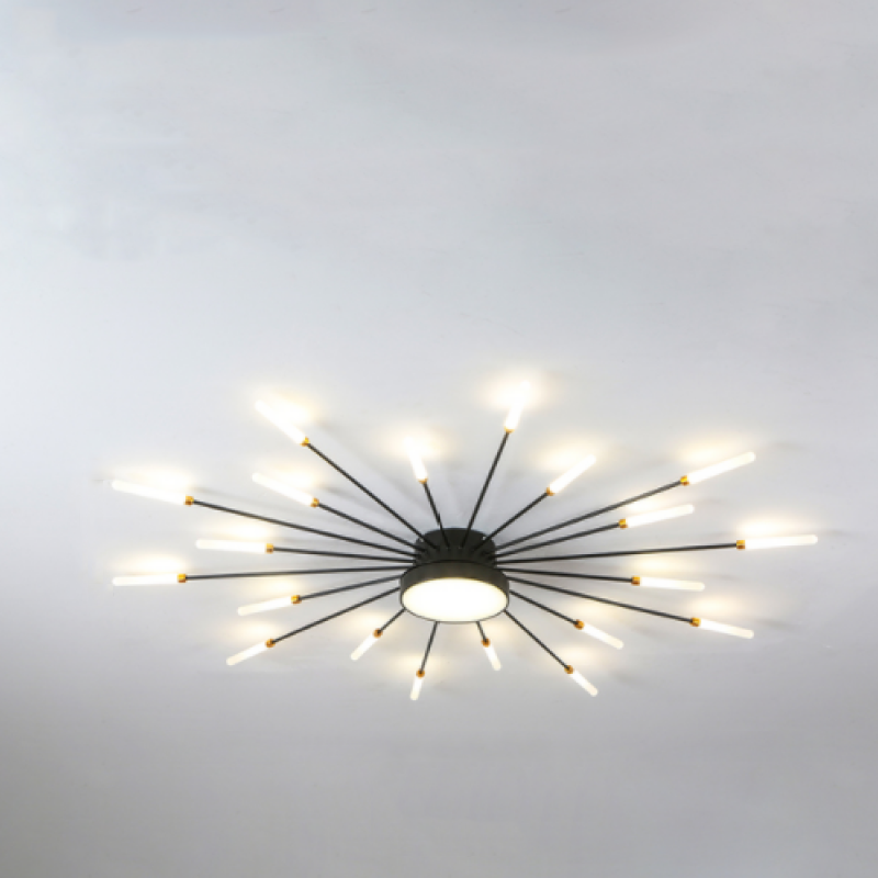 Arisha Modern Home Decoration Fireworks LED Ceiling Light - Neutral Decor