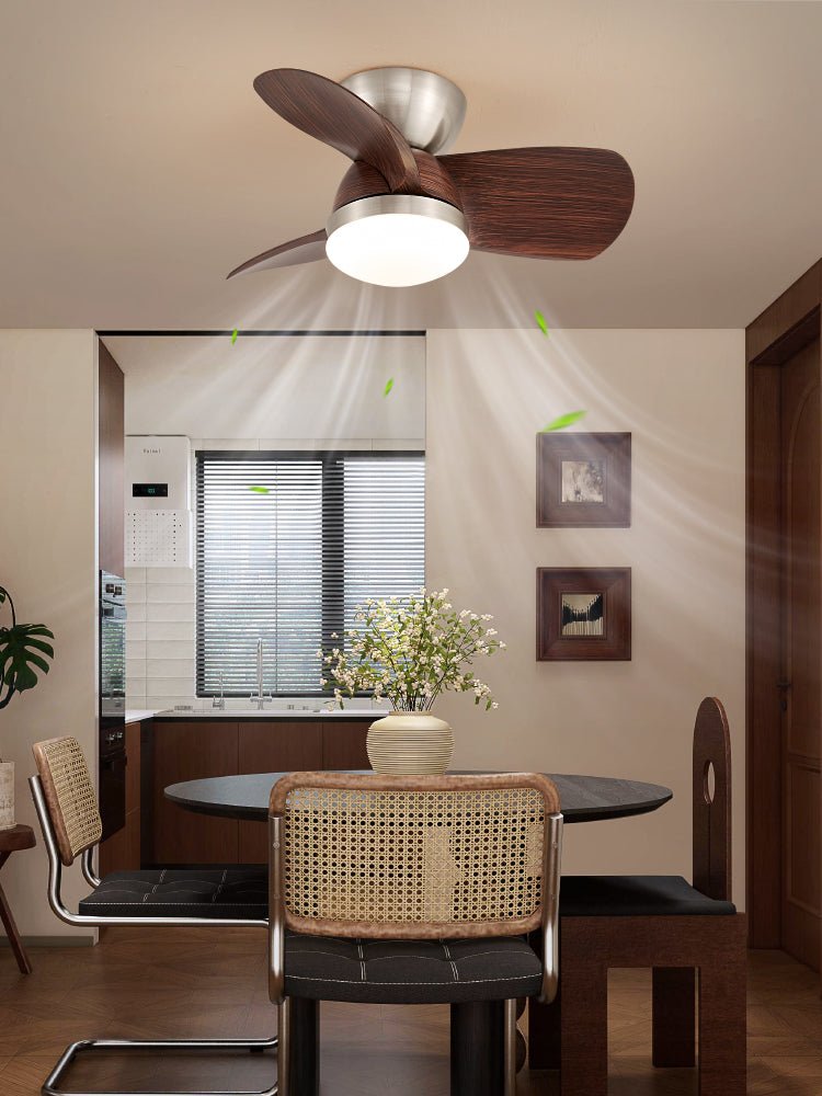 Dyms Ceiling Fan Light