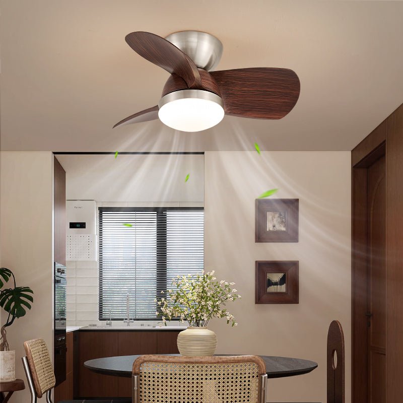 Dyms Ceiling Fan Light