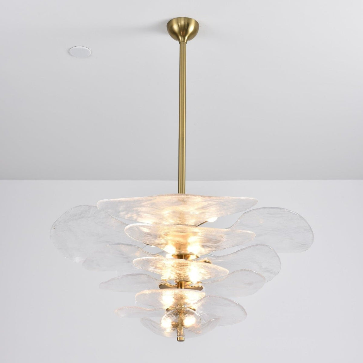 Crivs Chandelier Gold Murano Glass Petal Luxury