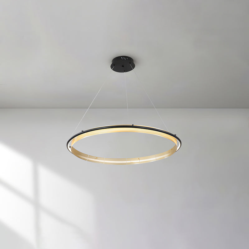 Erveliel Modern Minimalist LED Round Chandelier
