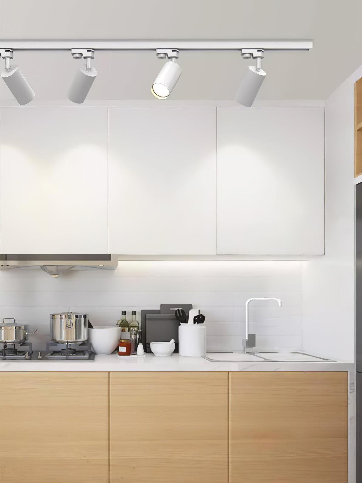Reneaya Adjustable Ceiling Light Spotlight Track LED