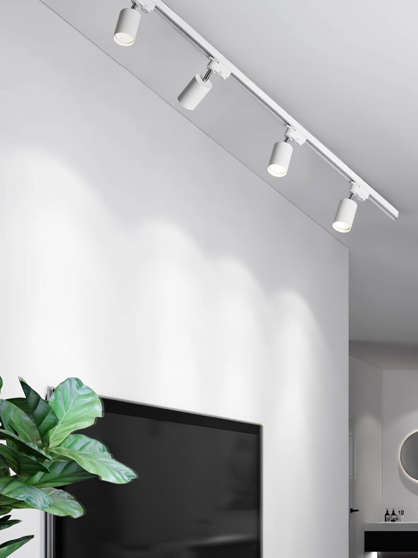 Reneaya Adjustable Ceiling Light Spotlight Track LED