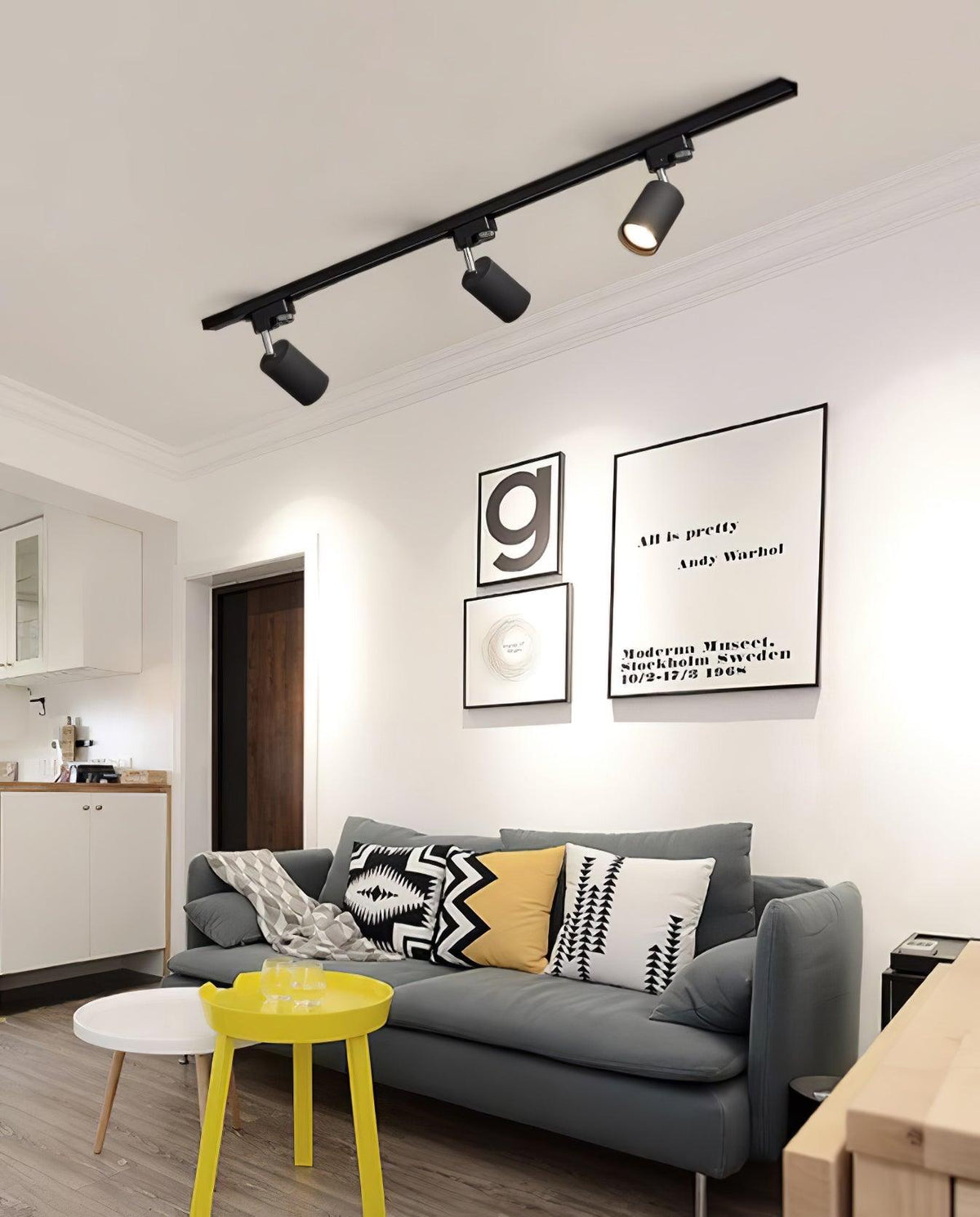 Reneaya Adjustable Ceiling Light Spotlight Track LED