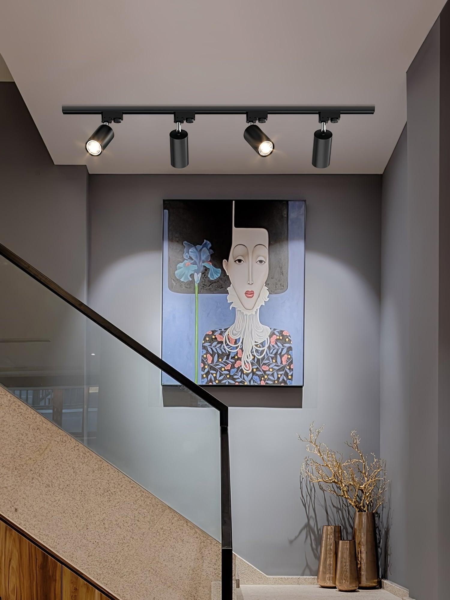 Reneaya Adjustable Ceiling Light Spotlight Track LED