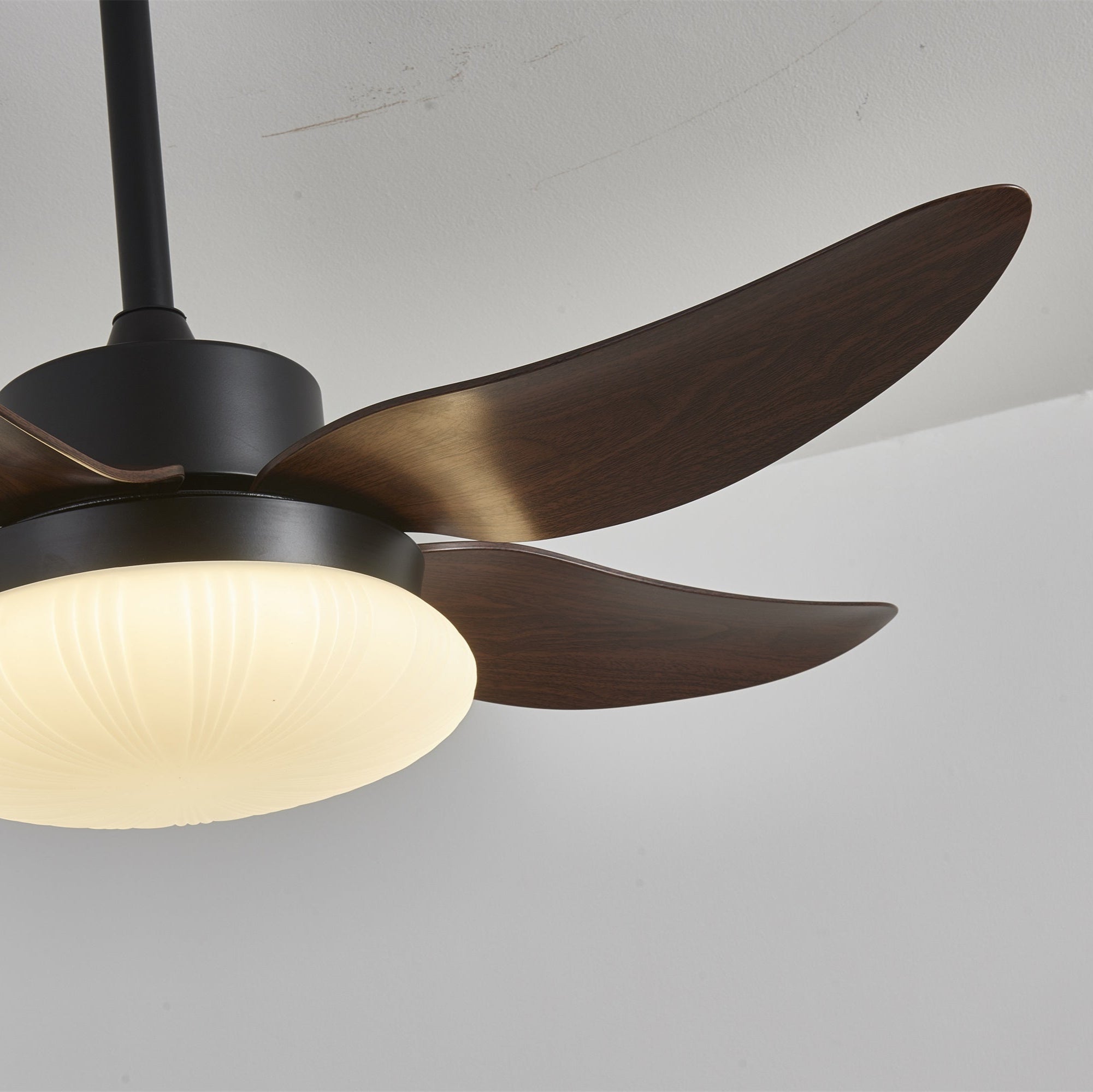 Zerith Modern Wood Ceiling Fan Light
