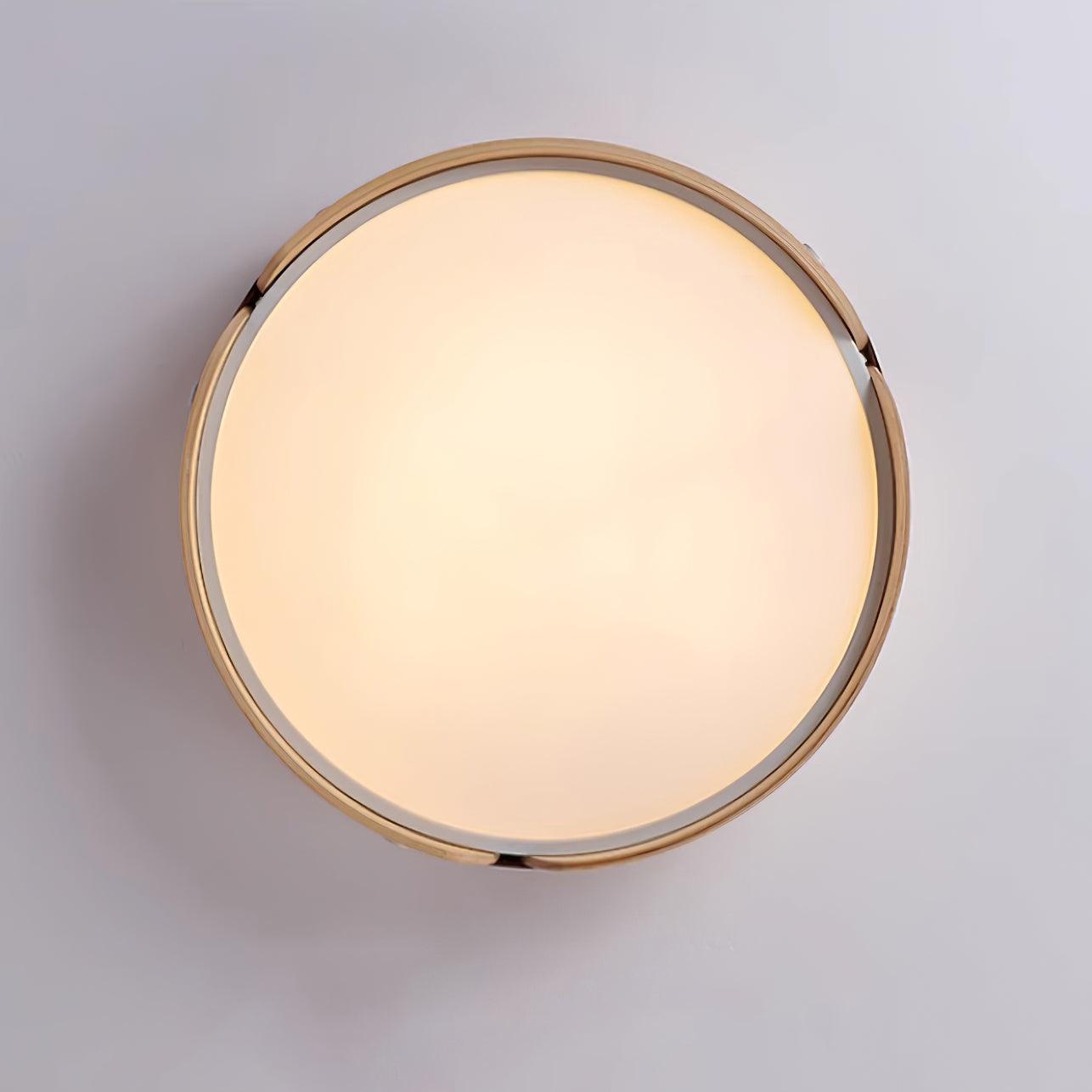 Echo Modern Minimalist Wood Ceiling Light - Neutral Decor
