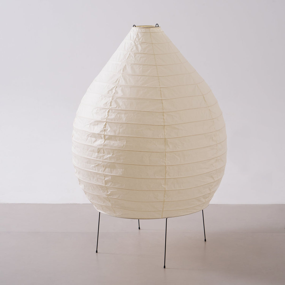 Viraiviella Modern Floor Lamp