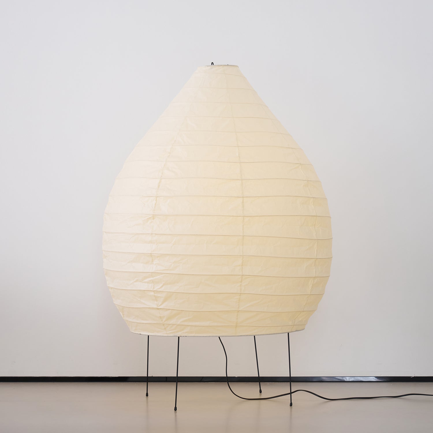 Viraiviella Modern Floor Lamp