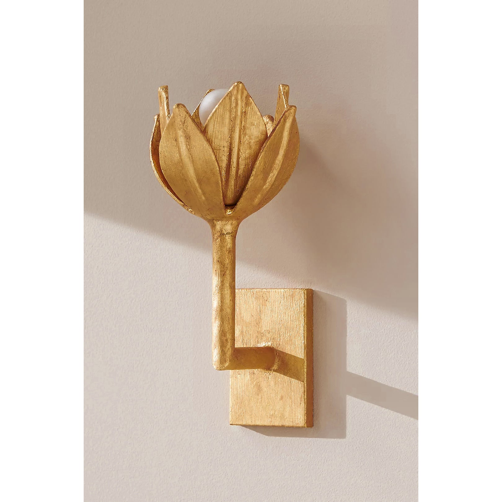 Clira Brass Lotus Bloom Wall Lamp