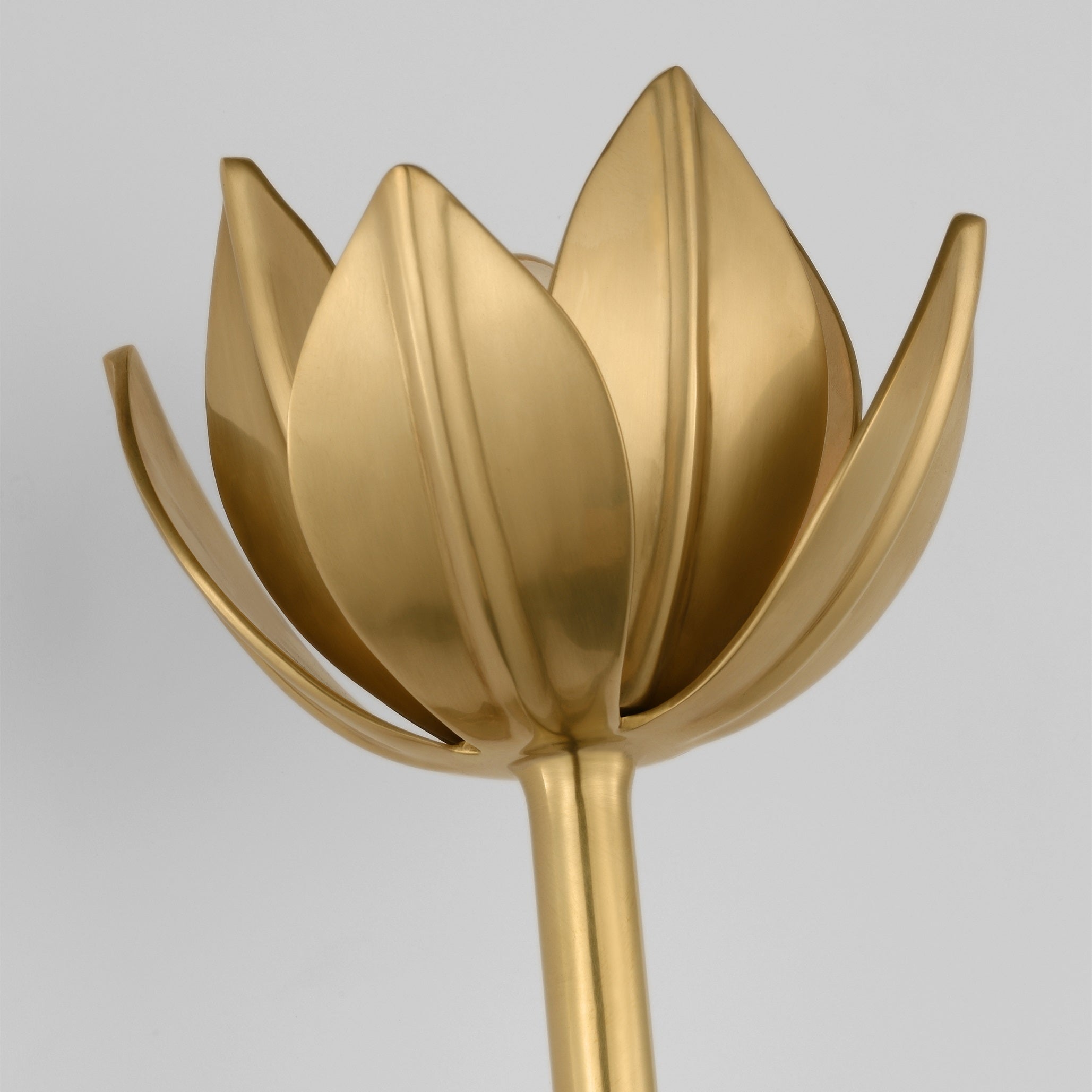 Clira Brass Lotus Bloom Wall Lamp