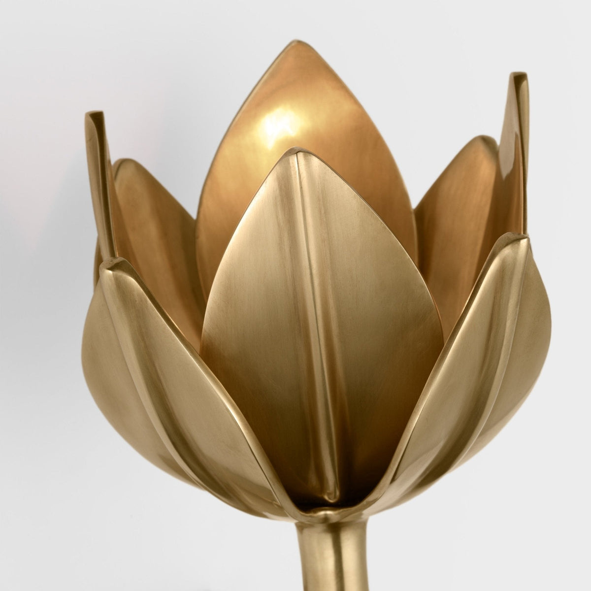 Clira Brass Lotus Bloom Wall Lamp