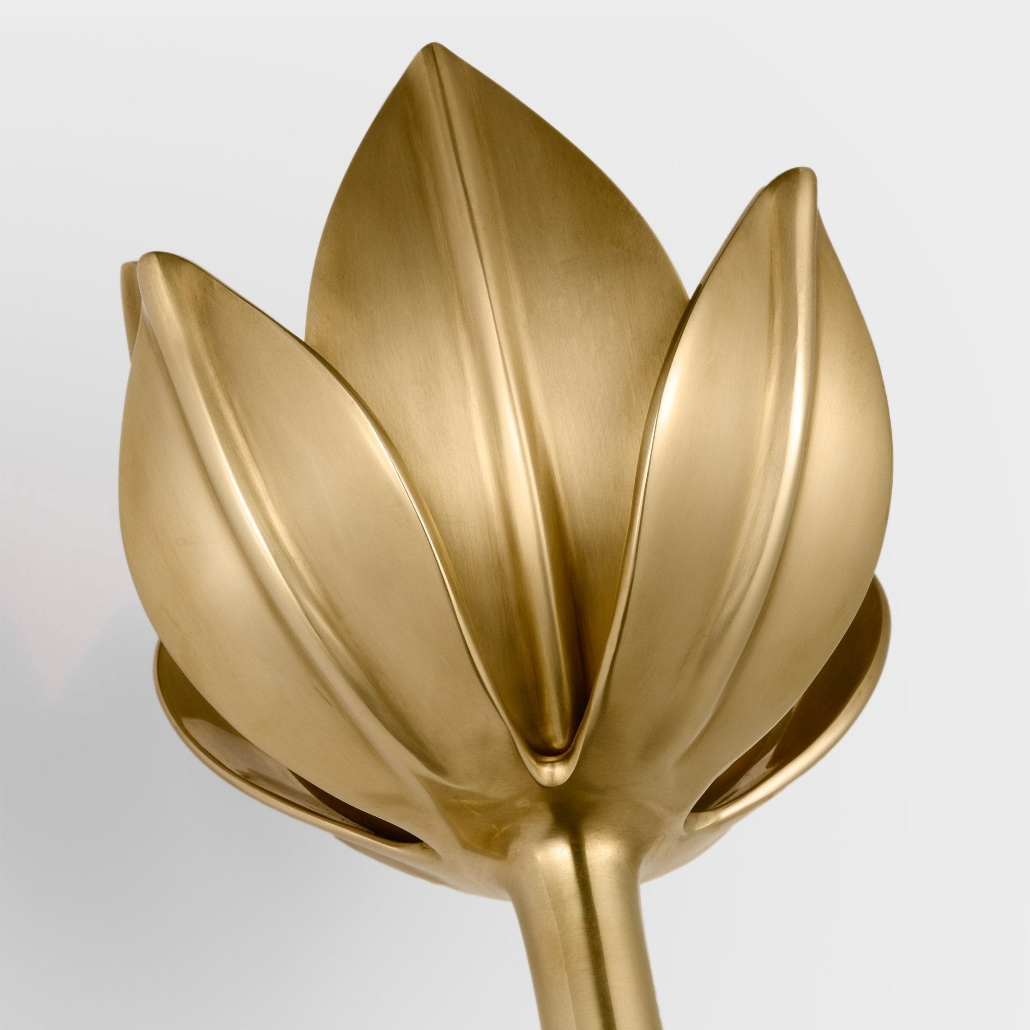 Clira Brass Lotus Bloom Wall Lamp