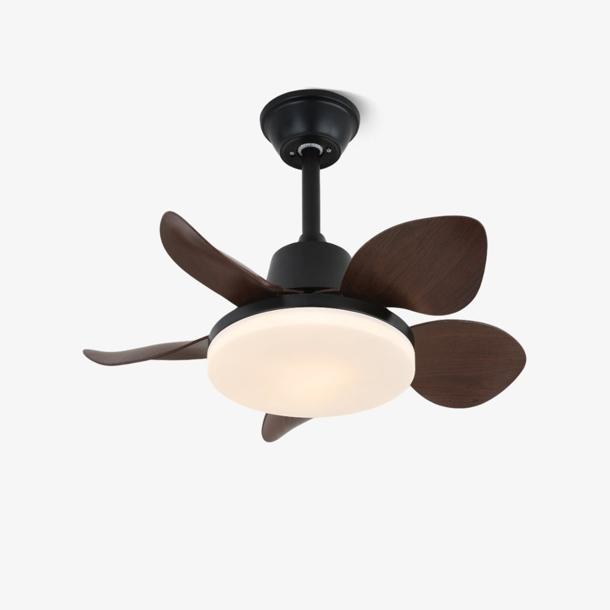 Veyra Modern Wood Ceiling Fan Light