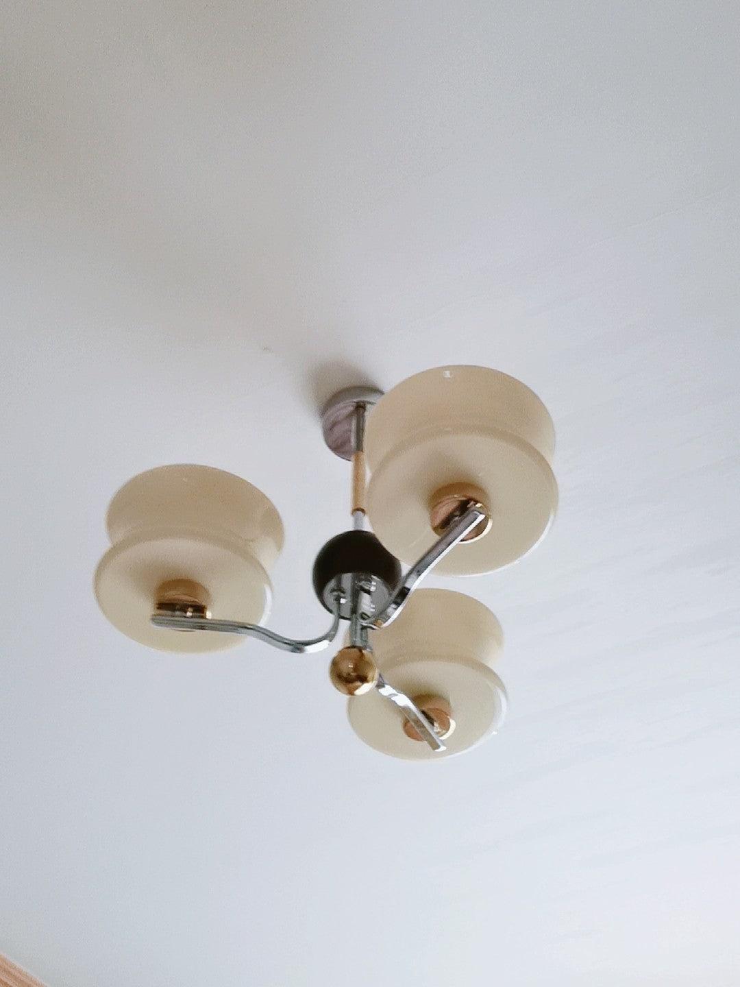 Lioralelle Elegant Glass Chandelier