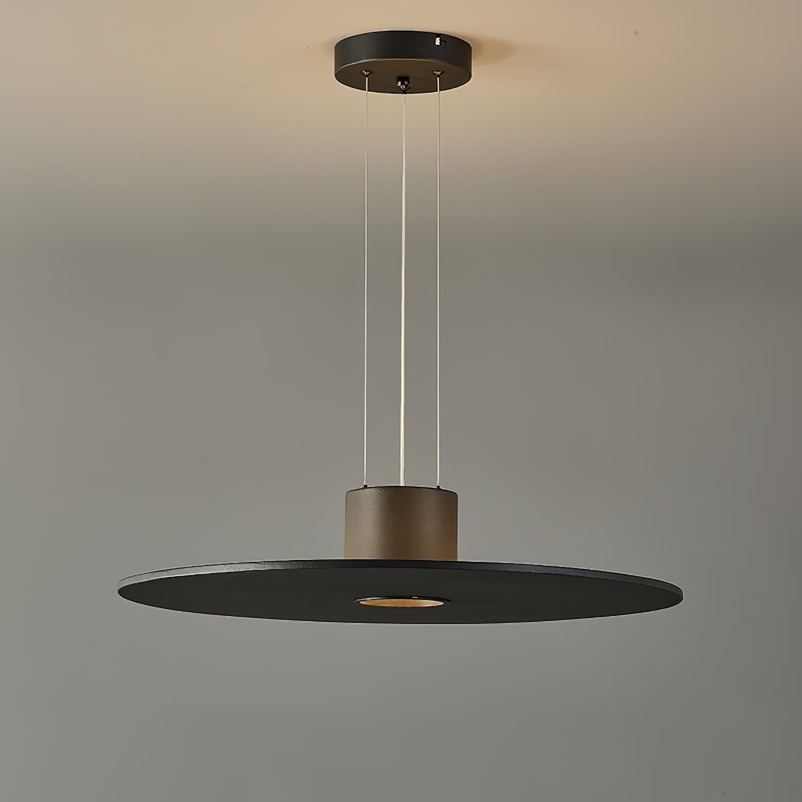 Gloruvyi Modern Minimalist Original  Pendant Lamp