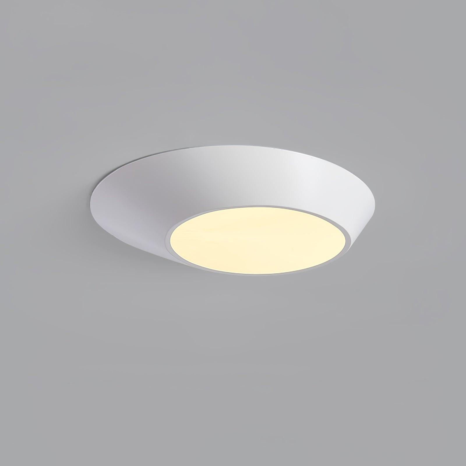 Vildes Premium Nordic Art Ceiling Light