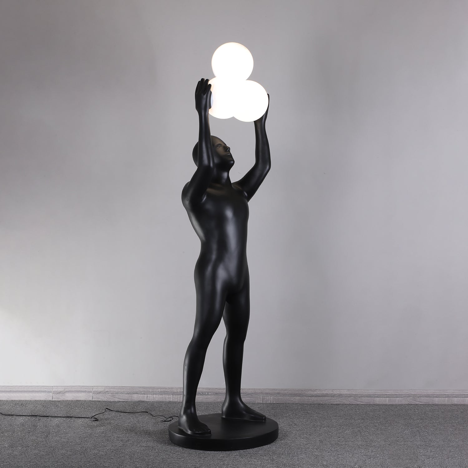 Eurshaia Sculptural Black Floor Lamp