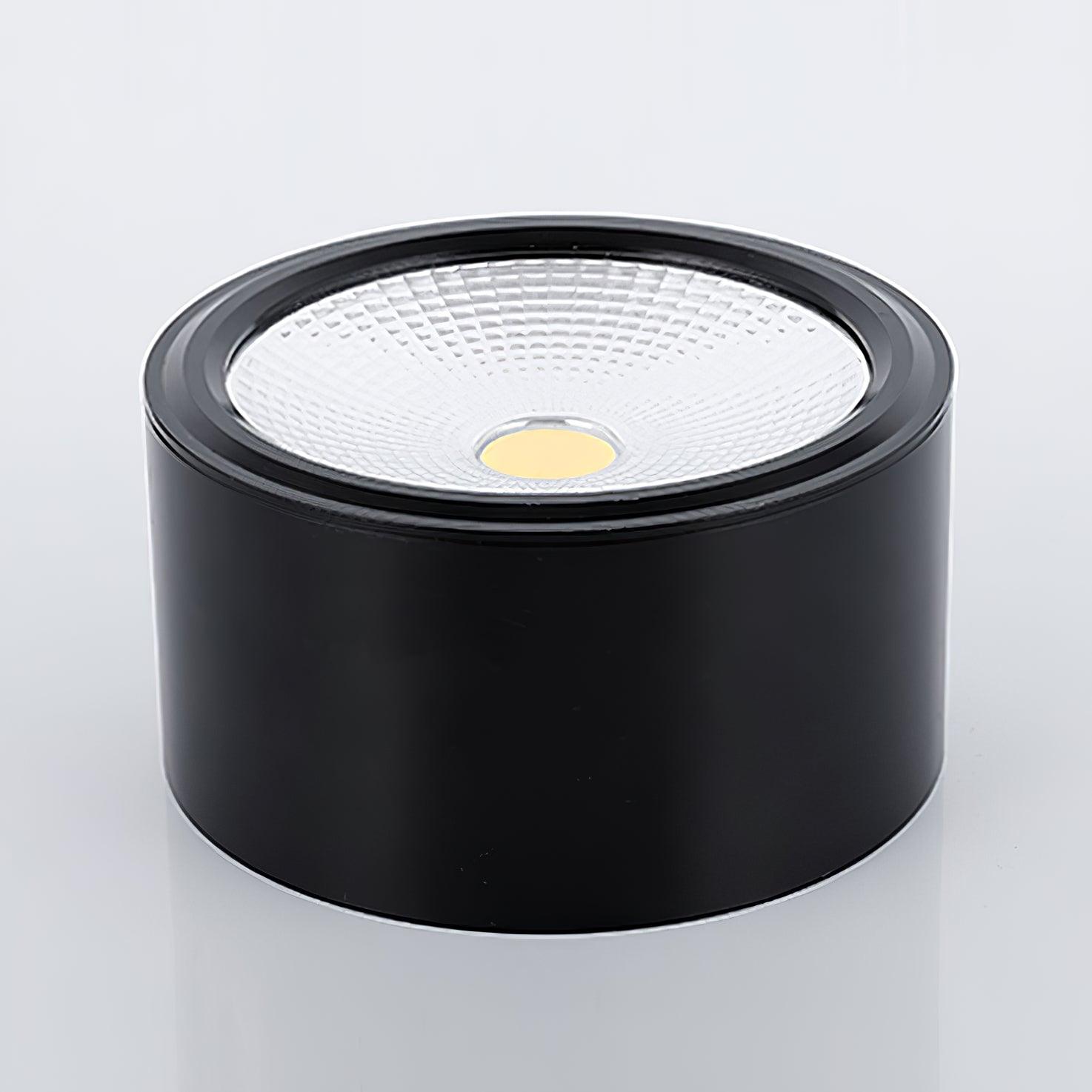 Nero Classic Steel Ceiling lamp