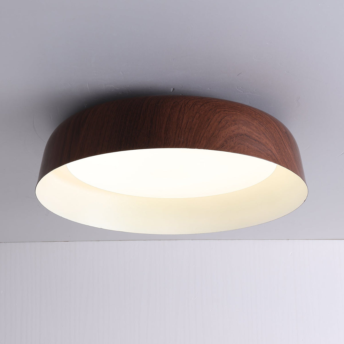 Viraenena Modern Minimalist Ceiling Light