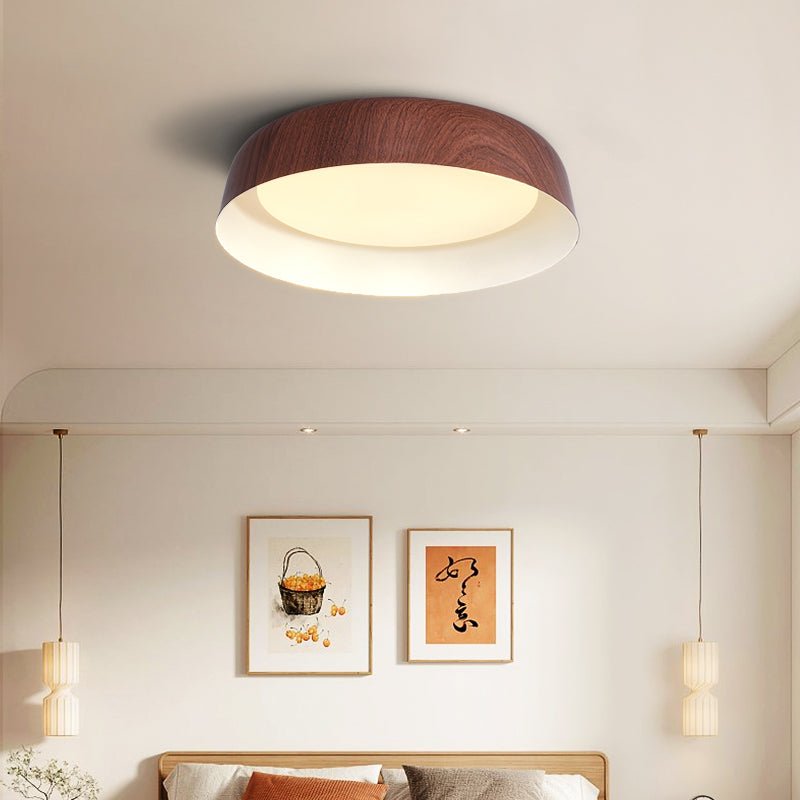 Viraenena Modern Minimalist Ceiling Light