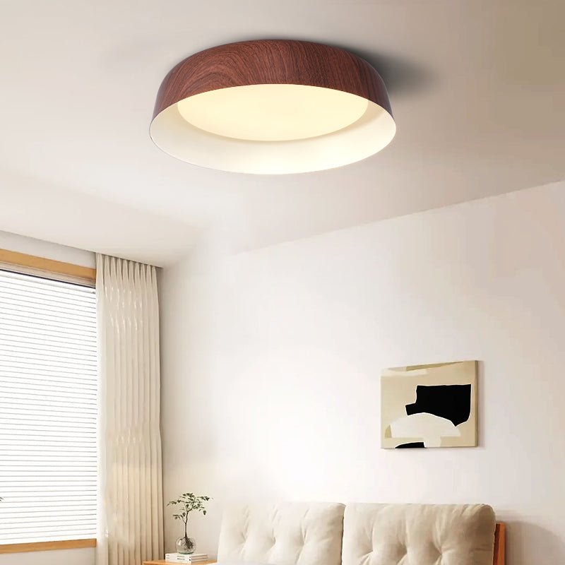 Viraenena Modern Minimalist Ceiling Light