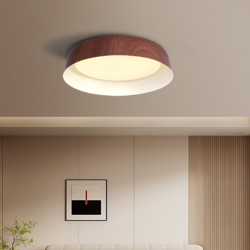 Viraenena Modern Minimalist Ceiling Light