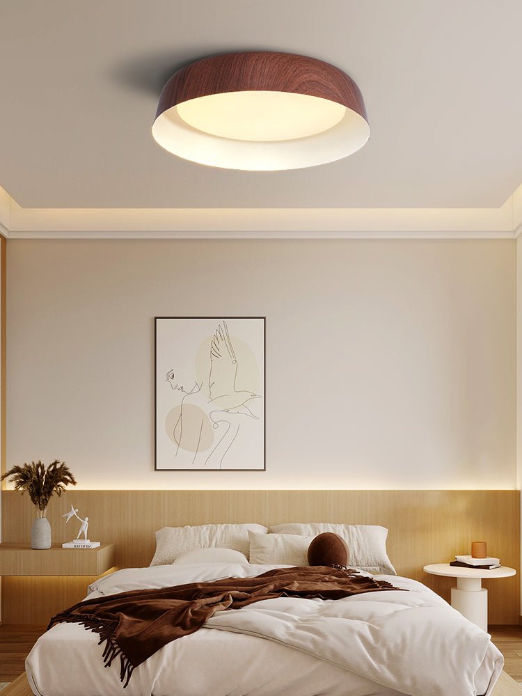 Viraenena Modern Minimalist Ceiling Light