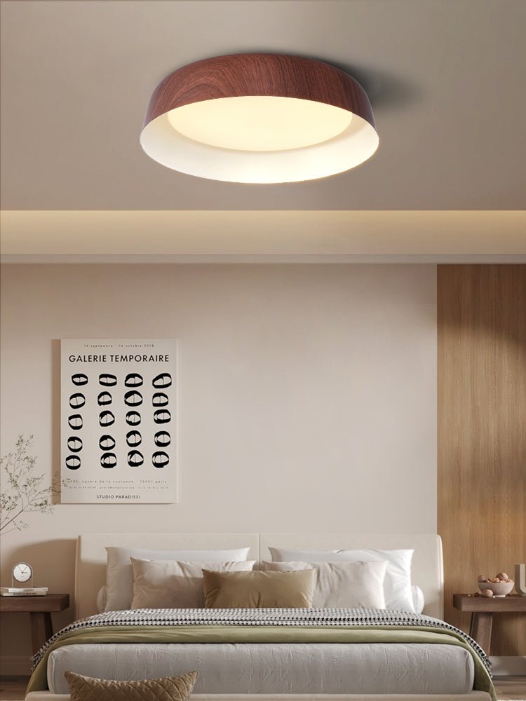 Viraenena Modern Minimalist Ceiling Light