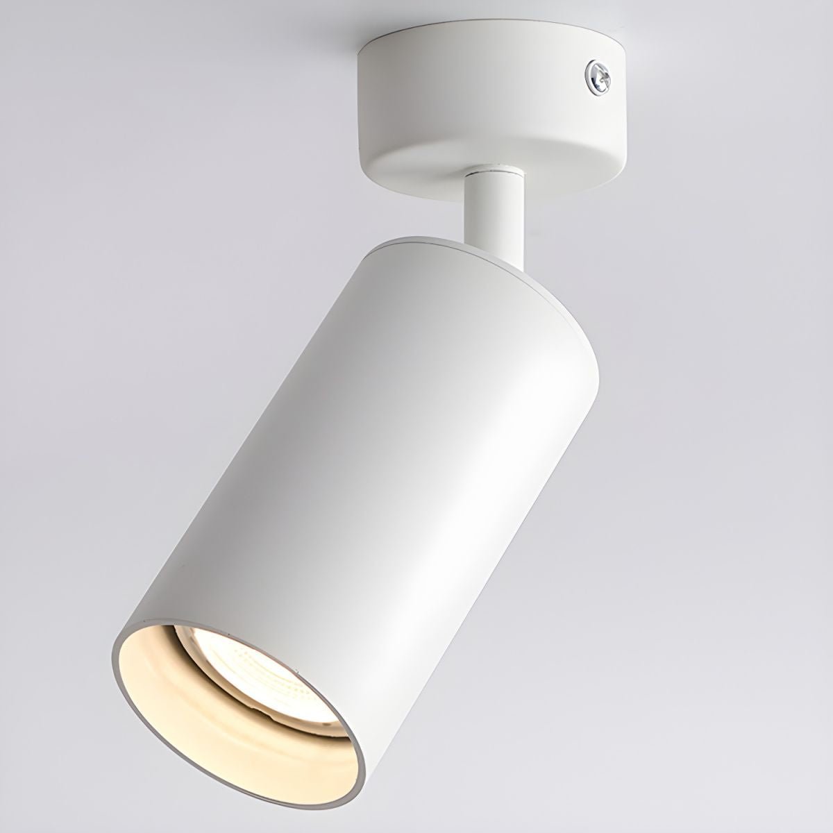 Vosilel Modern Minimalist Spotlight Ceiling lamp