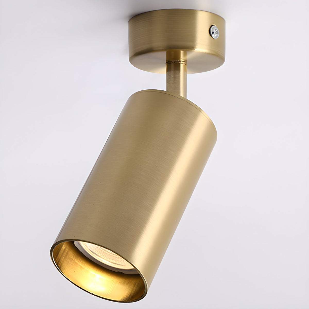 Vosilel Modern Minimalist Spotlight Ceiling lamp