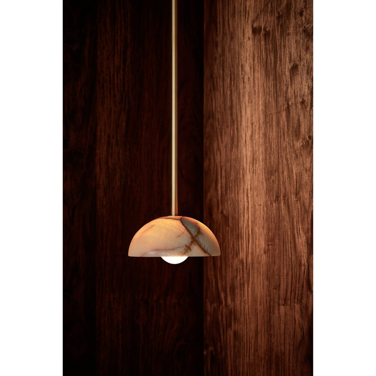 Eronex Modern Minimalist Elegance Brass Glass Pendant Lamp
