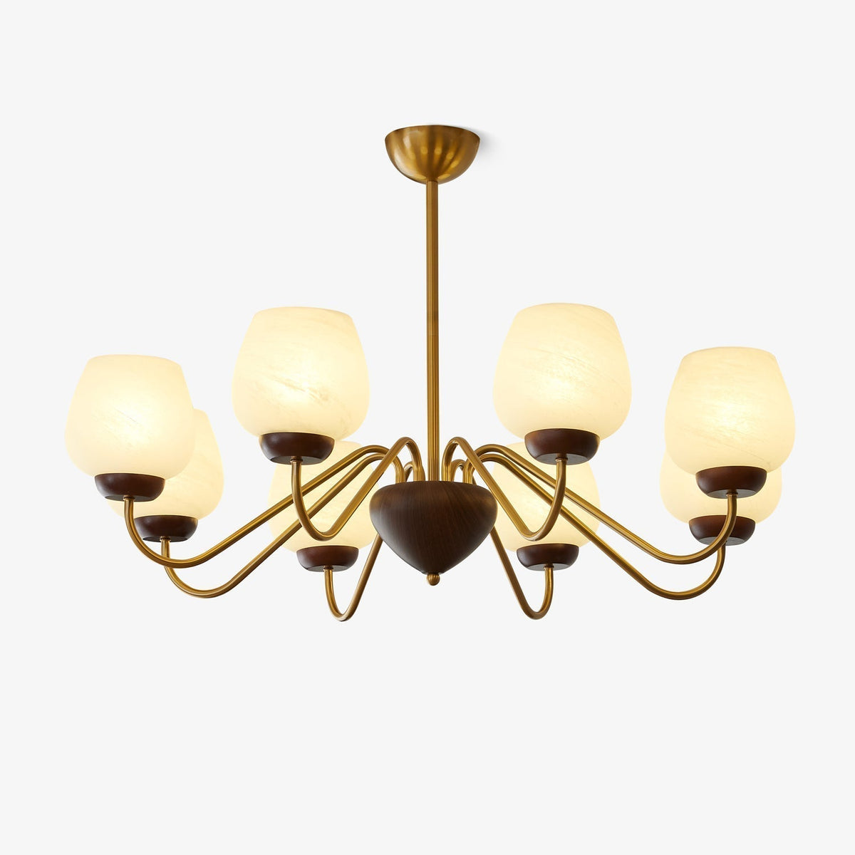 Sytheiel Premium	Elegance Wood Glass Chandelier