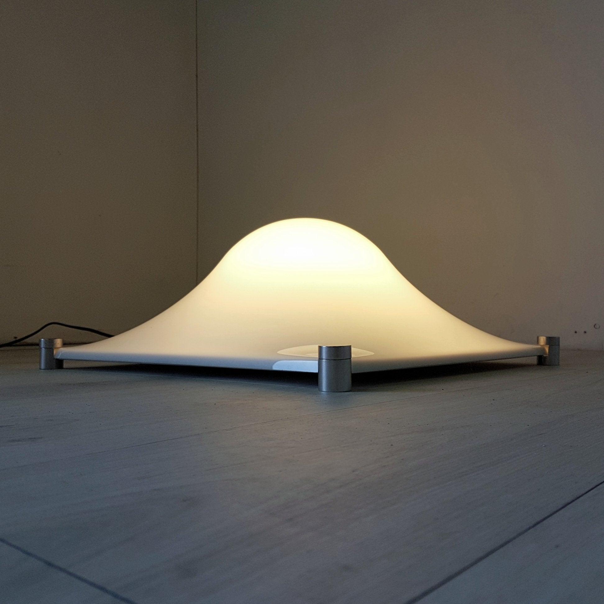 Sytheen Individual Creativity Ceiling Light